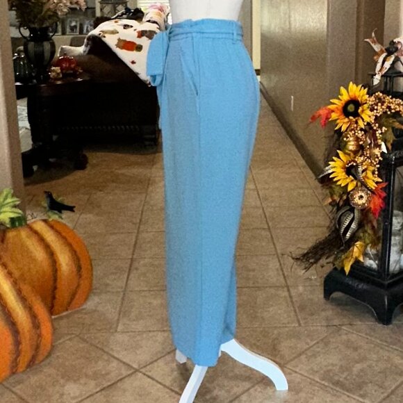 Wide Leg Pants with Pocket and Partial Elastic Waist - Picture 4 of 5